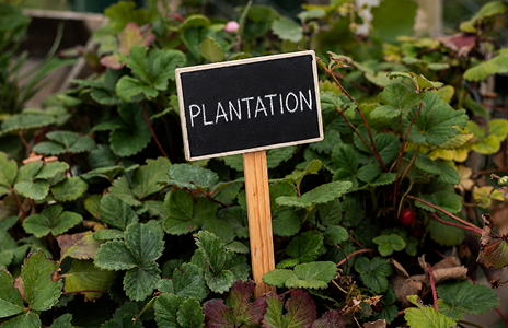 Plantation Signage & Plaques